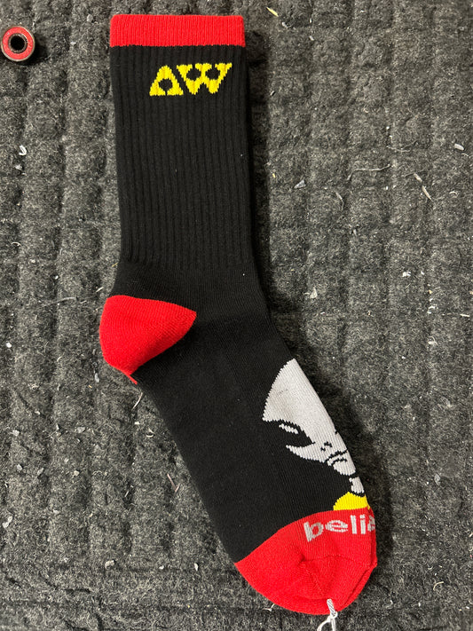 Alien Workshop Visitor Socks