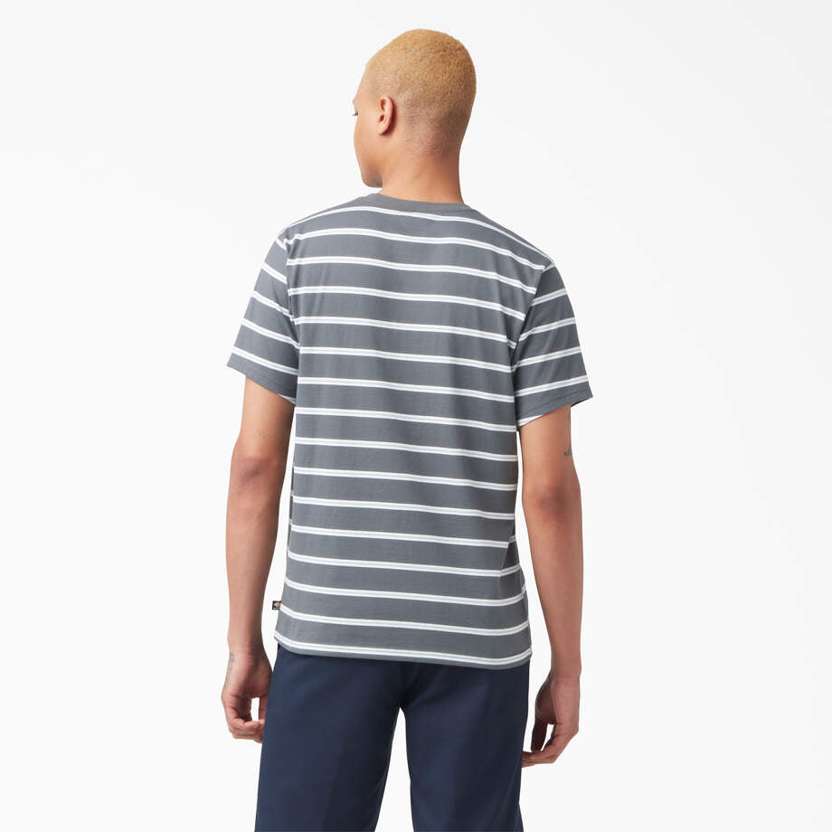 Dickies Skateboarding Striped Tee Shirt Blue