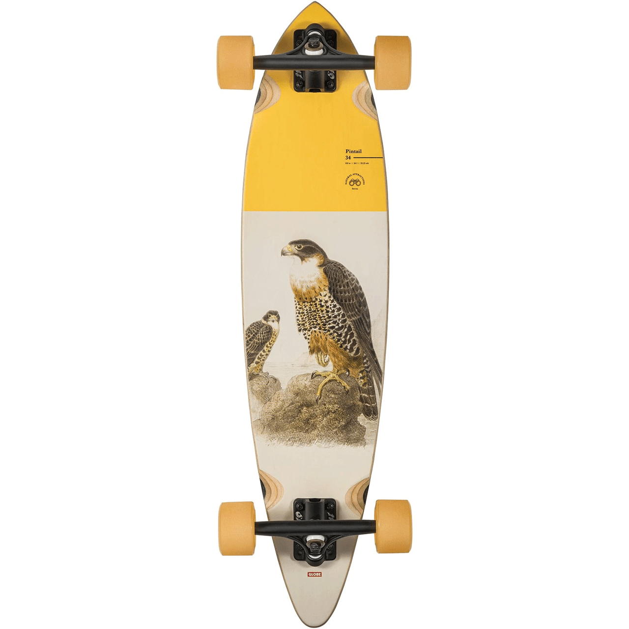 Globe Complete Longboard Pintail 34 Falcon