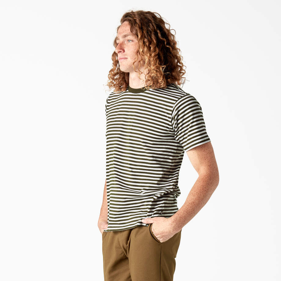 Dickies Skateboarding Striped T-Shirt Green