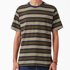 Dickies Skateboarding Striped T-Shirt green