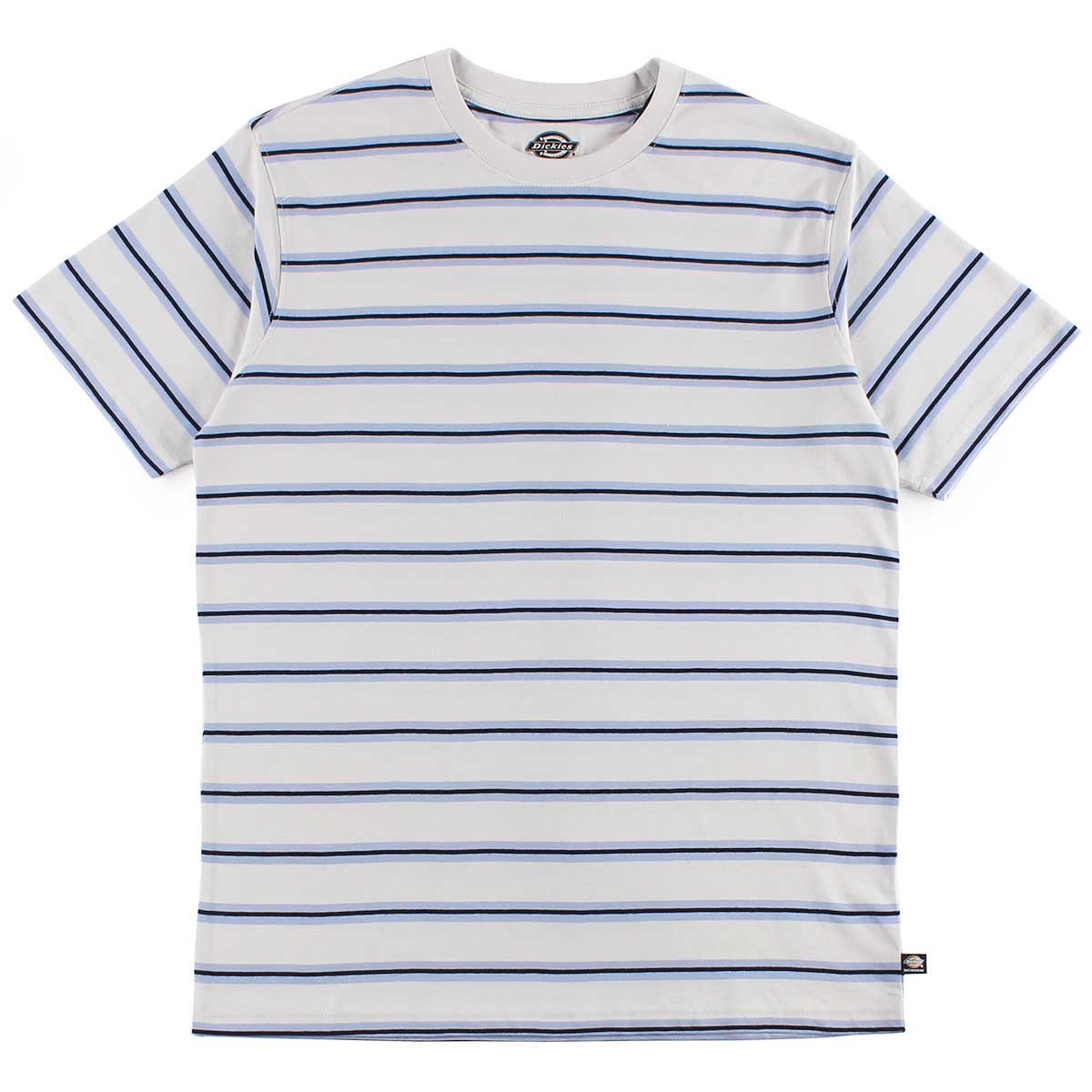 Dickies Skateboarding Striped T-Shirt white/blue