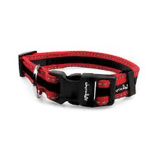 Chocolate dog leash/Collar