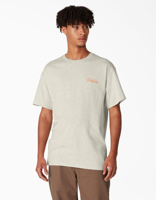 Dickies Skateboarding Split Graphic T-Shirt size Large