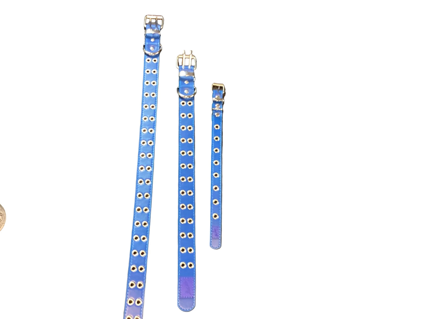 LOOSEY Belt BLUE GROMMET DOG COLLAR