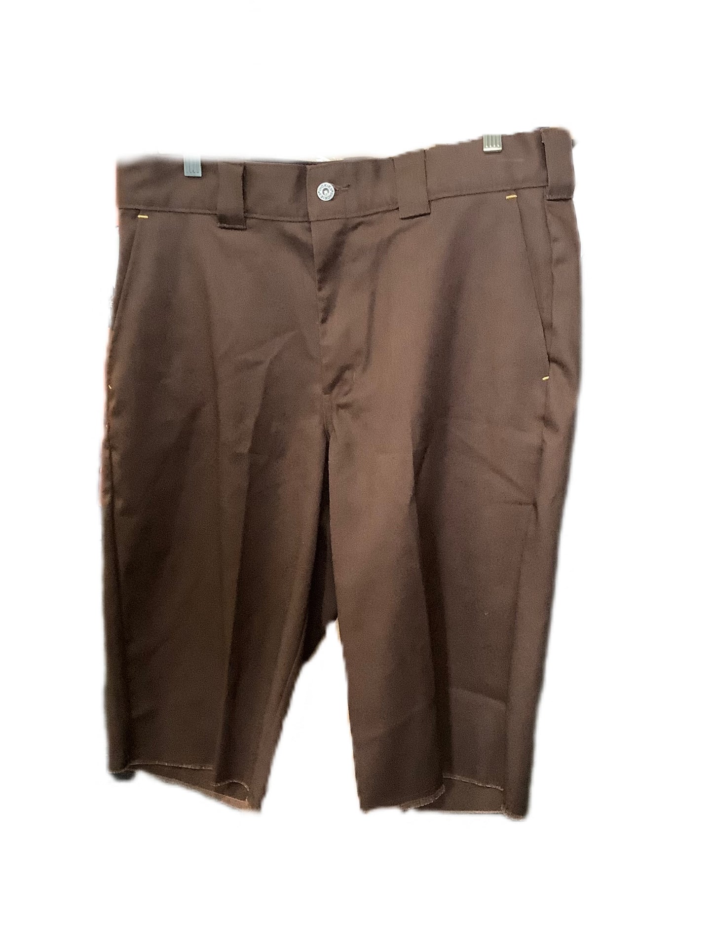 Dickies Skateboarding Alveraz Shorts Brown