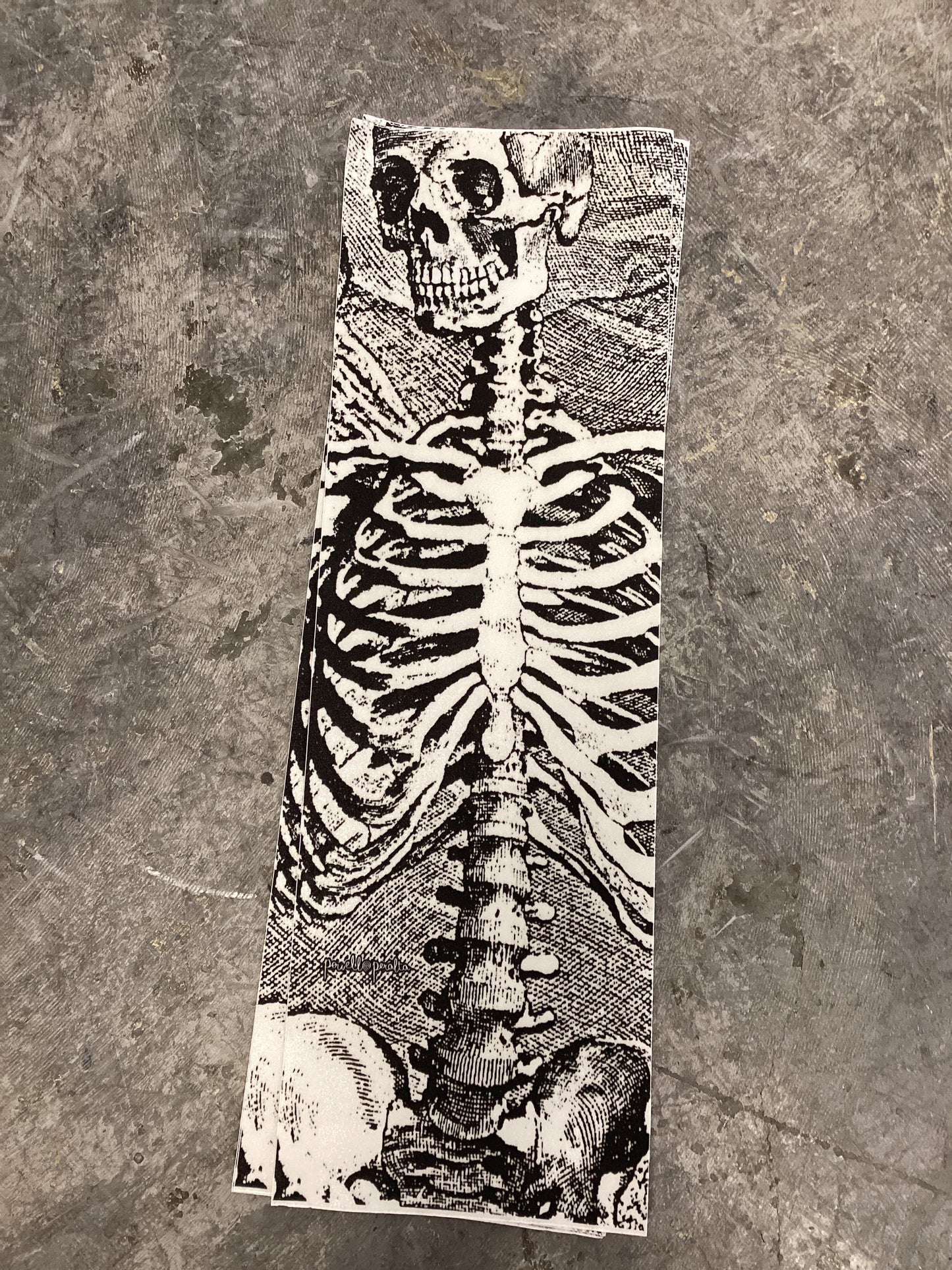 Powell Peralta Skeleton Clear grip