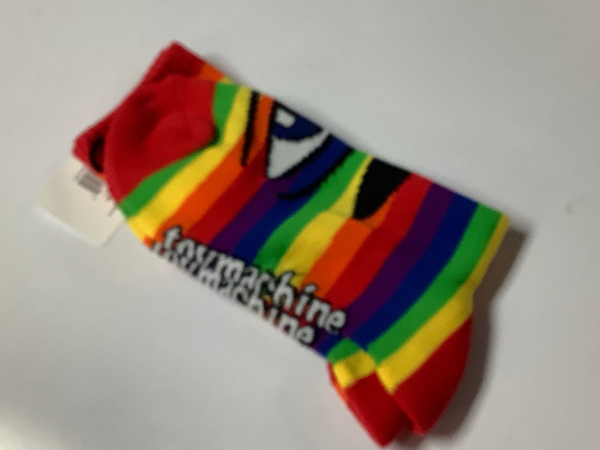 TOY MACHINE SOCKS RAINBOW