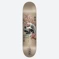 Ancestry Skateboard Deck 8.25”