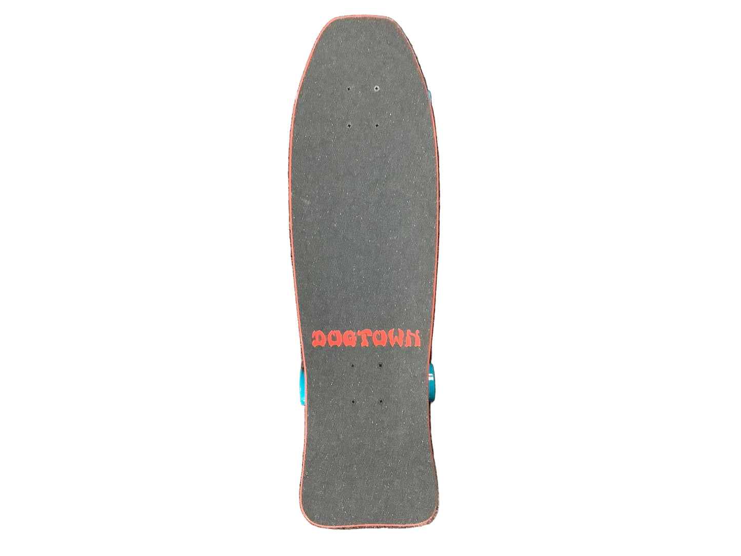 Dogtown complete skateboard Stonefish Mini 8.75”
