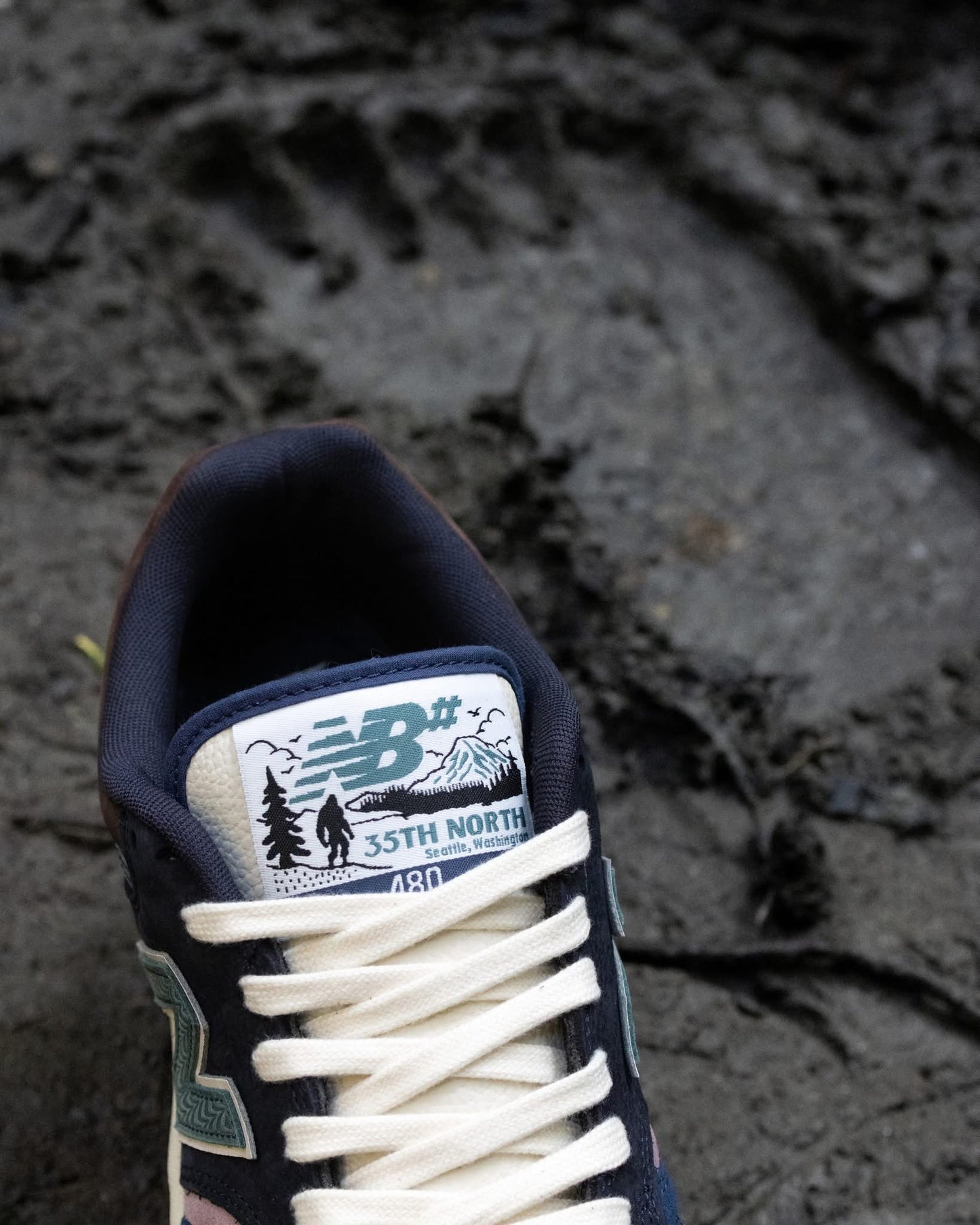 New Balance Numeric 480 CASCADE 35TH NORTH skateboard shoes