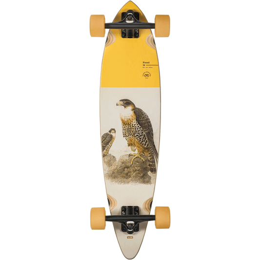 Globe Complete Longboard Pintail 34 Falcon