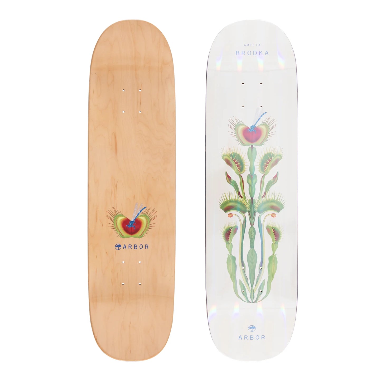 Arbor Pro Skateboard Deck Amelia Venus 8.5”