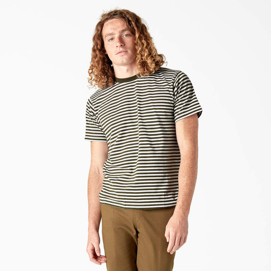 Dickies Skateboarding Striped T-Shirt Green
