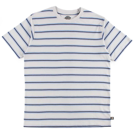 Dickies Skateboarding Striped T-Shirt