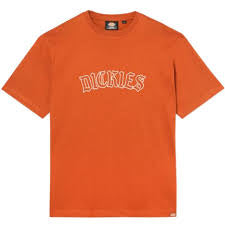 Dickies Union Springs T-Shirt Gingerbread XL