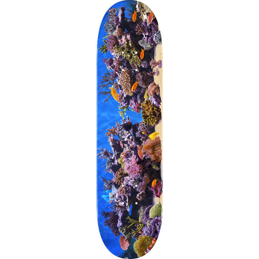 MINI LOGO FISH TANK "18" SKATEBOARD DECK 8.5 X 32.08